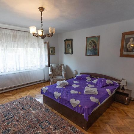 Doi Bujori Apartment Alba Iulia Bagian luar foto