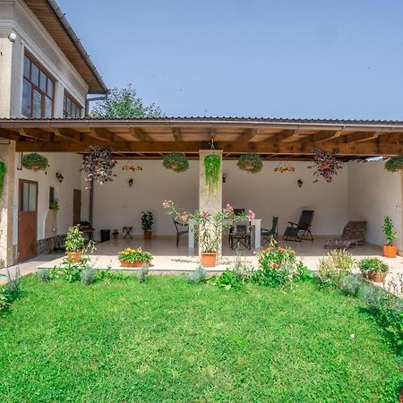 Doi Bujori Apartment Alba Iulia Bagian luar foto