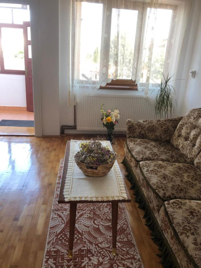Doi Bujori Apartment Alba Iulia Bagian luar foto