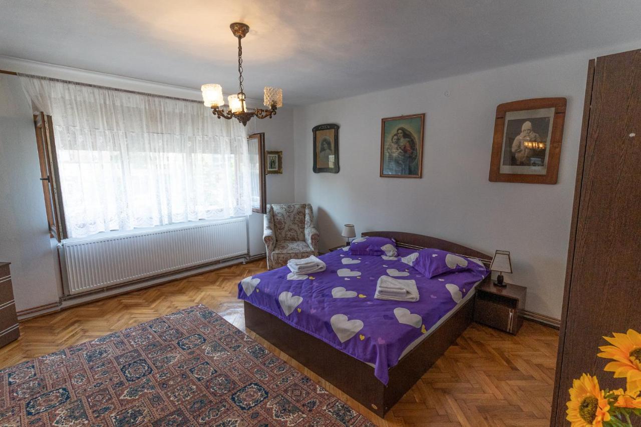 Doi Bujori Apartment Alba Iulia Bagian luar foto