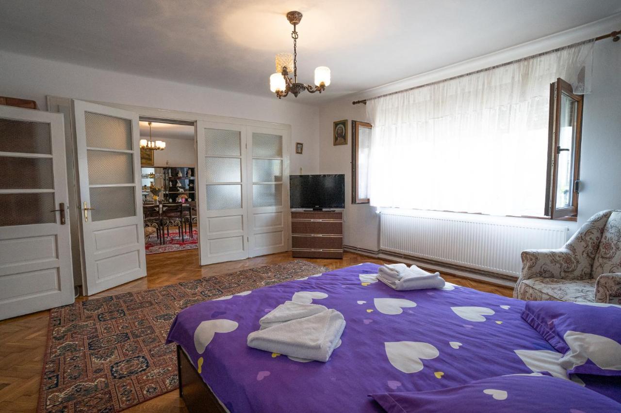 Doi Bujori Apartment Alba Iulia Bagian luar foto