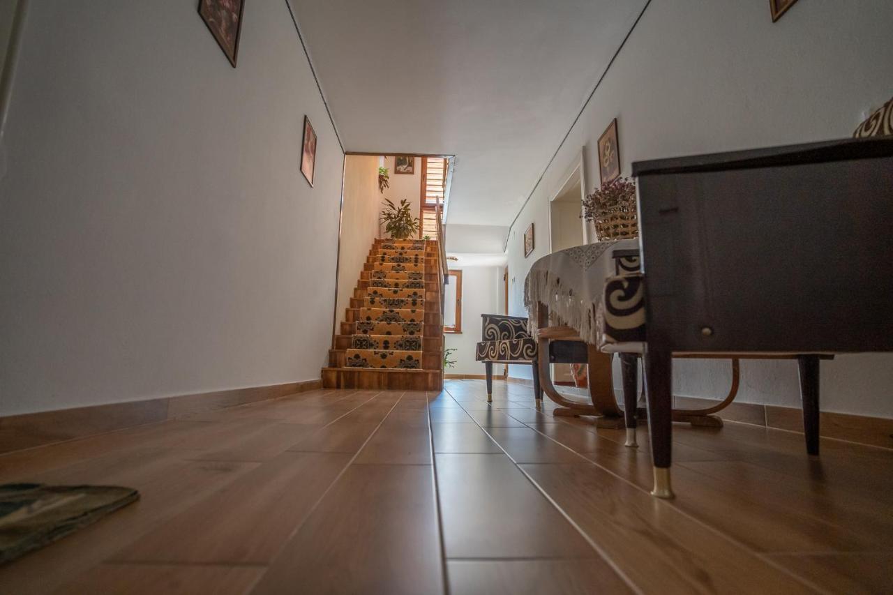 Doi Bujori Apartment Alba Iulia Bagian luar foto