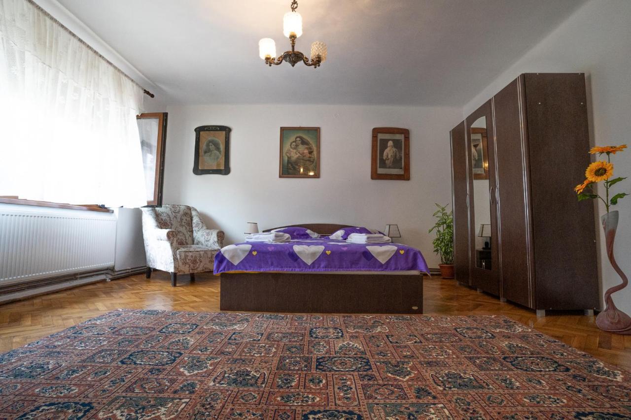 Doi Bujori Apartment Alba Iulia Bagian luar foto