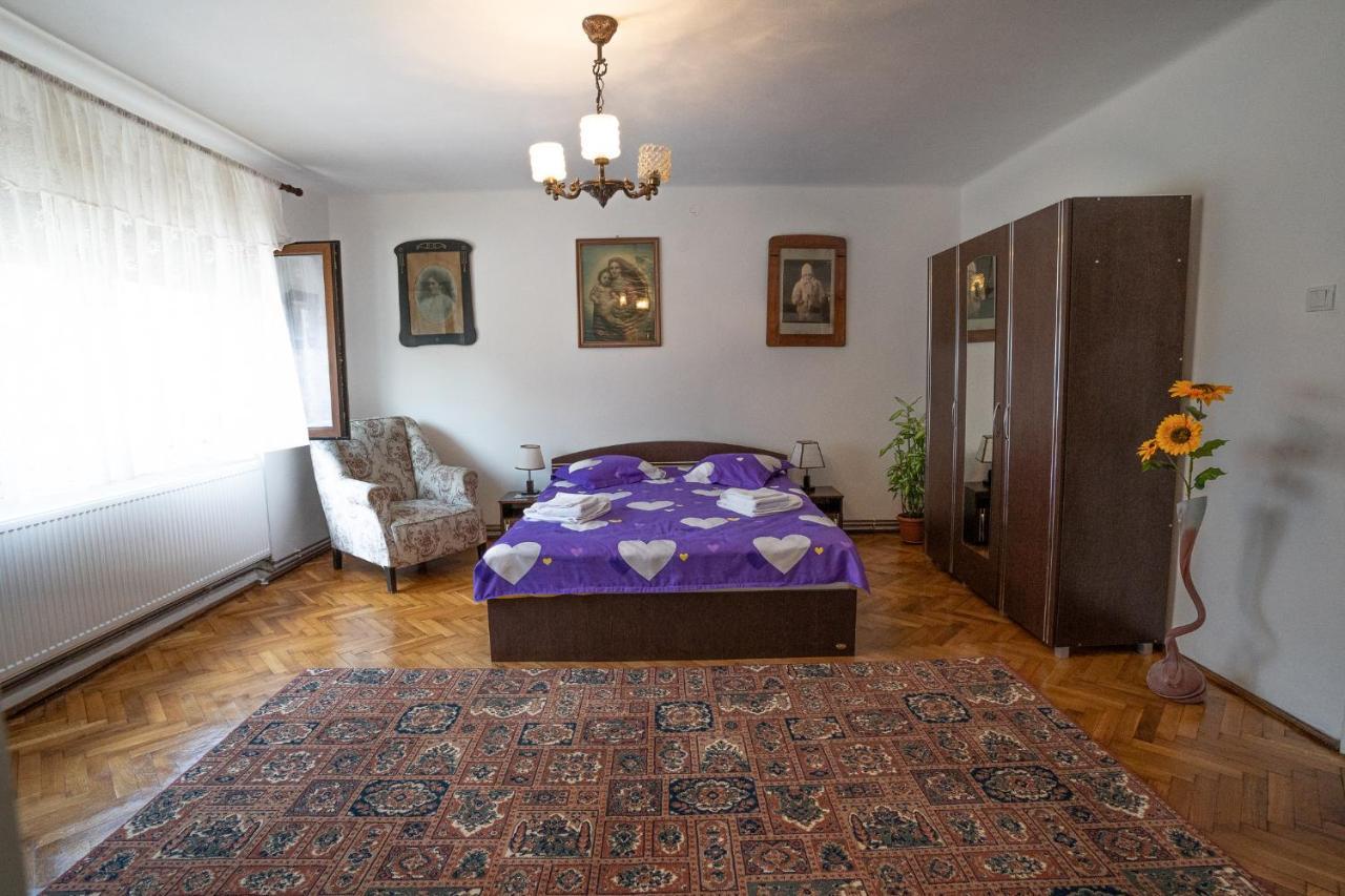 Doi Bujori Apartment Alba Iulia Bagian luar foto