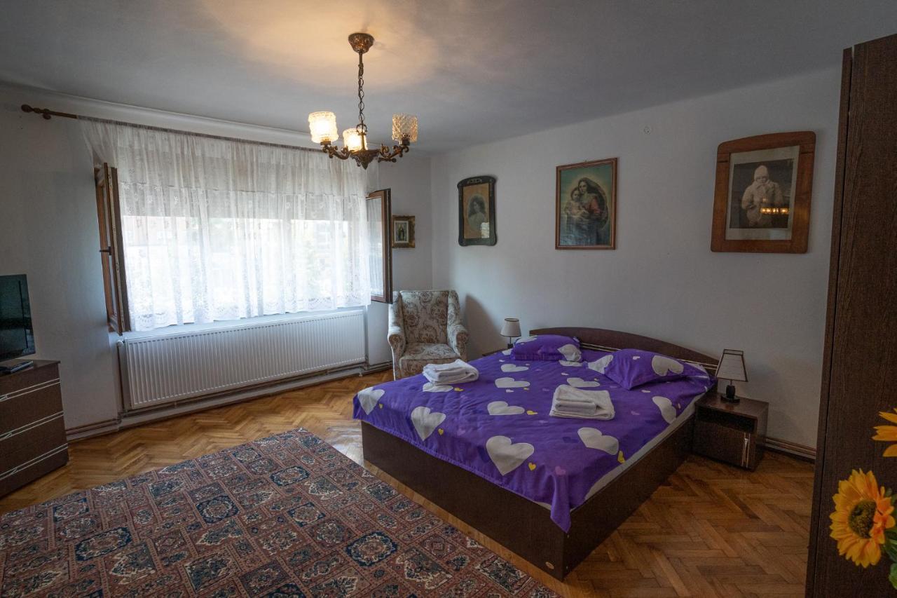 Doi Bujori Apartment Alba Iulia Bagian luar foto